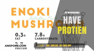 Mushrooms: A Surprising Source of Protein?