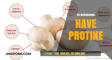 Mushrooms: A Surprising Source of Protein?