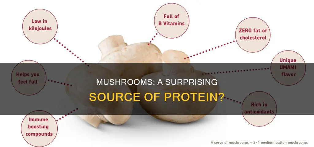 do mushrooms have protine