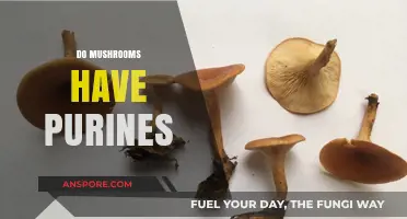Mushrooms and Purines: What's the Connection?