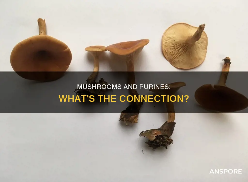 do mushrooms have purines