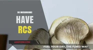 Mushrooms and RCS: What's the Connection?