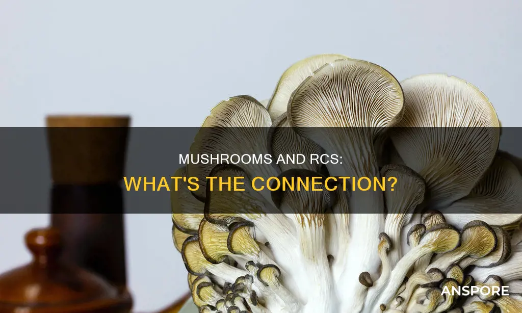 do mushrooms have rcs