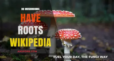 How do Mushrooms Grow? Exploring Root Systems