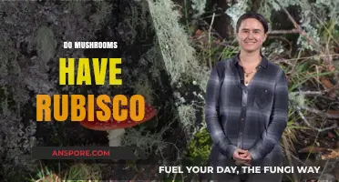 Mushrooms and Rubisco: What's the Connection?