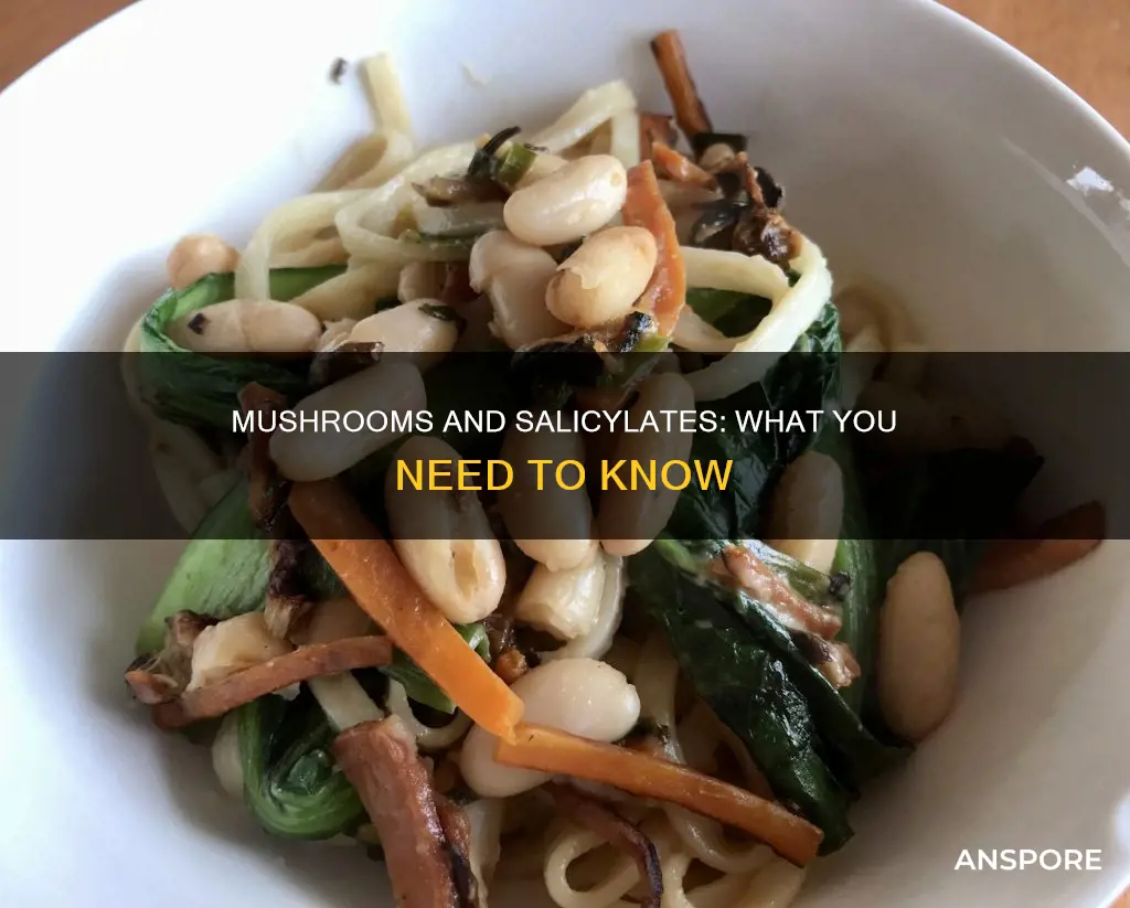 do mushrooms have salicylates