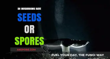 Mushrooms: Seeds or Spores? Unraveling Fungal Reproduction Mysteries