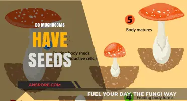 How Do Mushrooms Reproduce? Do They Have Seeds?