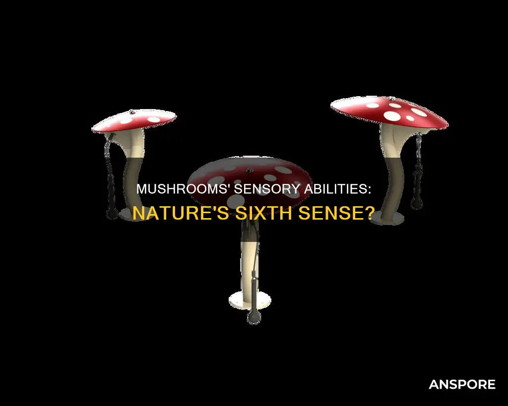 do mushrooms have senses