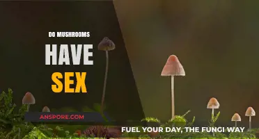 Mushroom Mating: The Sex Lives of Fungi