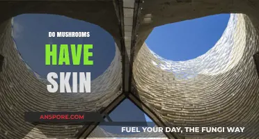 Mushroom Skin: The Facts About Fungi Exterior