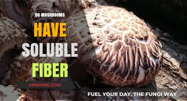 Mushrooms: A Rich Source of Soluble Fiber