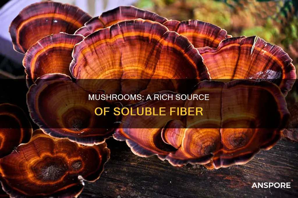 do mushrooms have soluble fiber