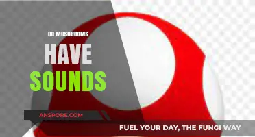 The Music of Mushrooms: A Sonic Exploration