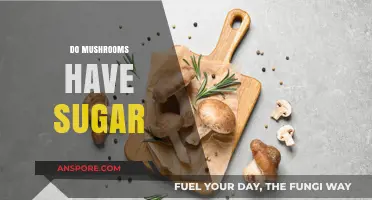Mushrooms: Sugar-Free Superfood?