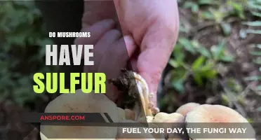 Mushrooms and Sulfur: What's the Connection?