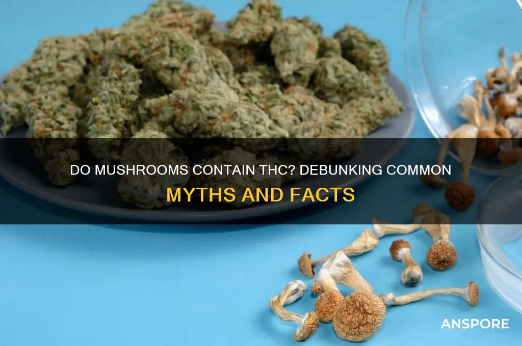 do mushrooms have thc in them