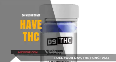 Magic Mushrooms and THC: A Psychedelic Mix?