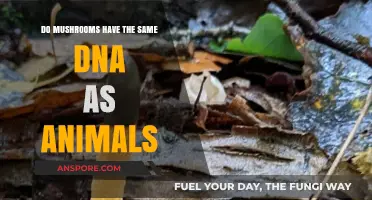 Mushrooms vs. Animals: Unraveling the DNA Similarities and Differences
