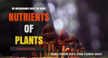 Mushrooms vs. Plants: Comparing Nutrient Profiles and Health Benefits