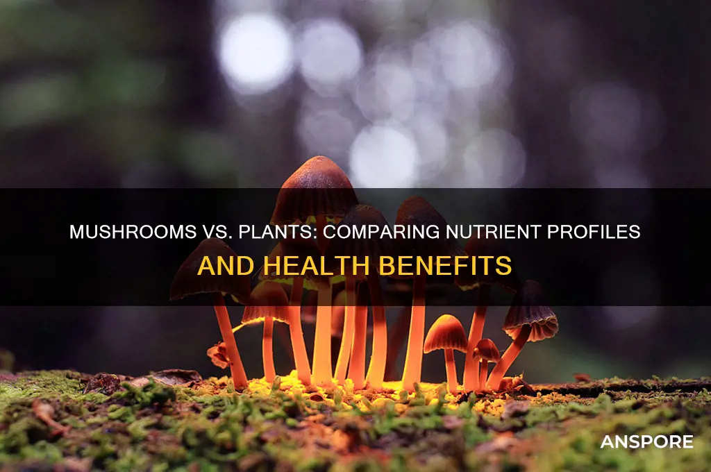 do mushrooms have the same nutrients of plants