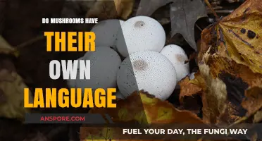 Do Mushrooms Communicate? Exploring the Fascinating World of Fungal Language