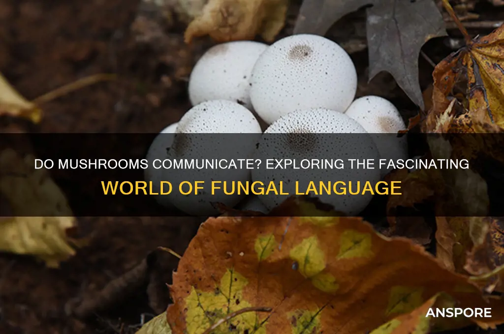 do mushrooms have their own language