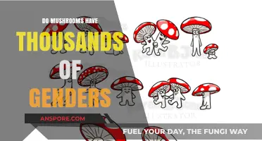 Exploring the Fascinating Gender Diversity of Mushrooms: Beyond Binary