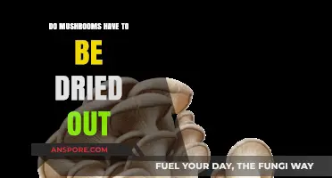 Do Mushrooms Need Drying? Fresh vs. Dried Mushroom Benefits Explained