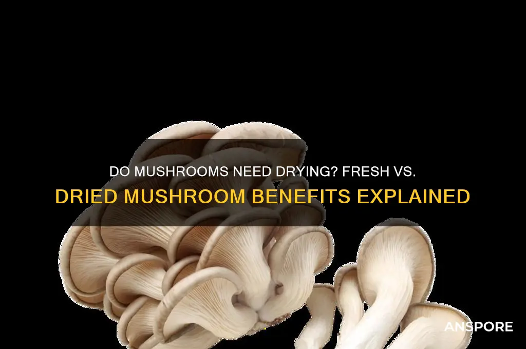 do mushrooms have to be dried out