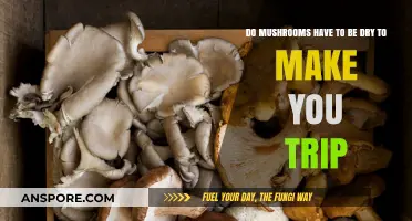 Do Mushrooms Need to Be Dry to Induce a Psychedelic Trip?
