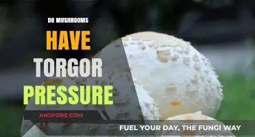 Mushrooms' Turgor Pressure: What's the Science?