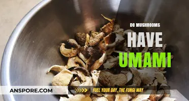 Unlocking Umami: The Magic of Mushrooms