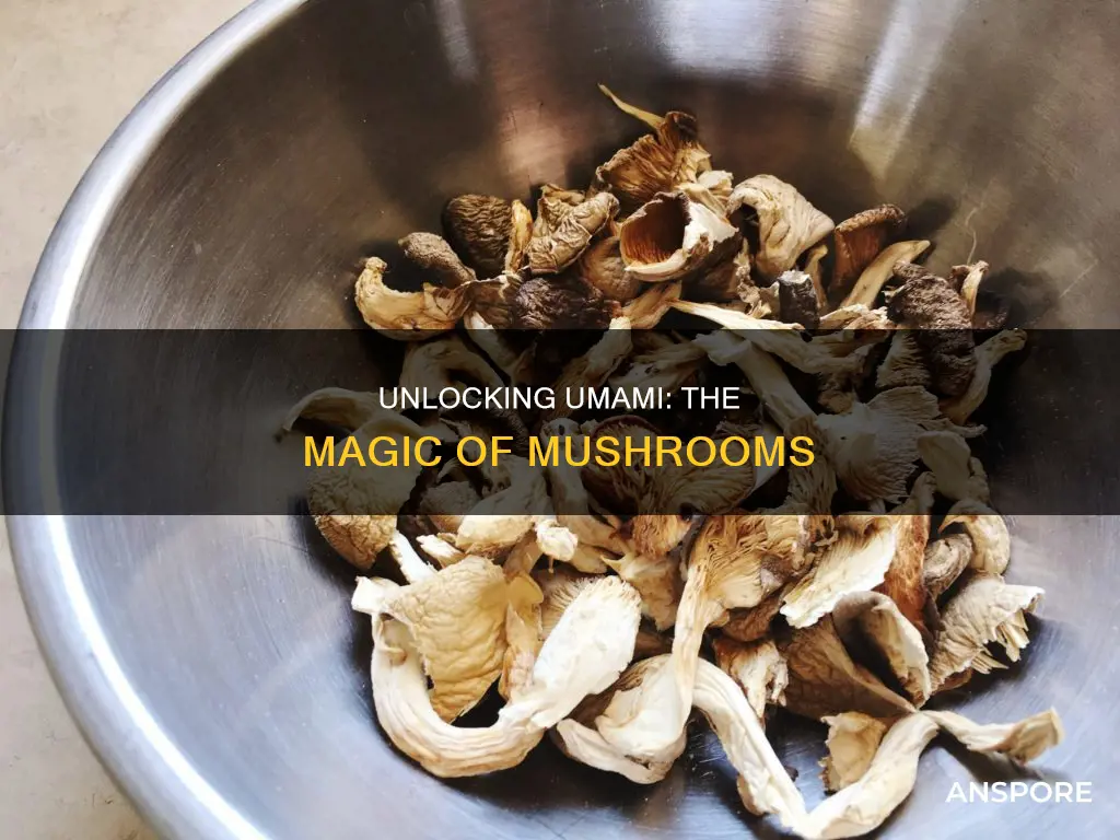 do mushrooms have umami