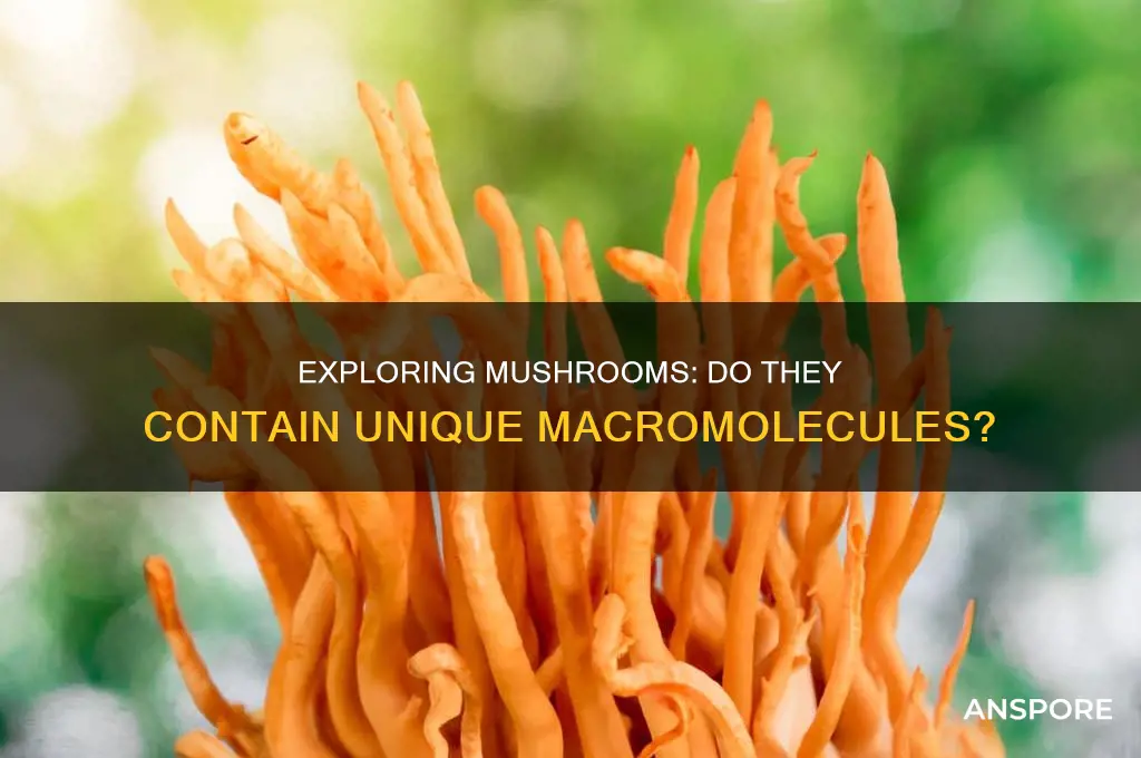do mushrooms have unique macris in them