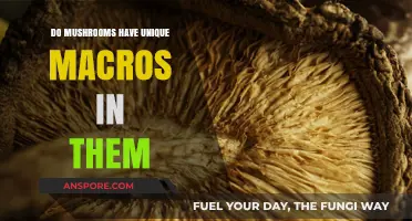 Exploring Mushroom Macros: Unique Nutritional Profiles in Fungi