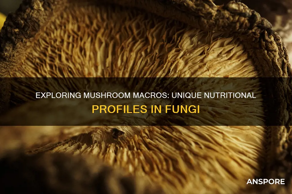 do mushrooms have unique macros in them