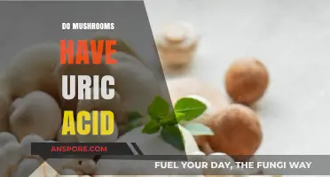 Mushrooms and Uric Acid: What's the Connection?