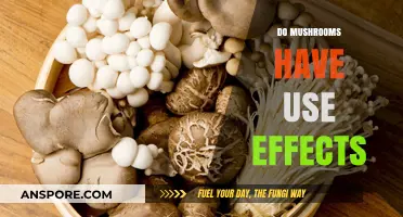 Exploring the Surprising Side Effects of Mushroom Consumption