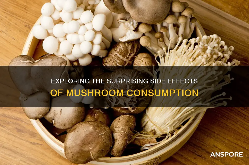 do mushrooms have use effects