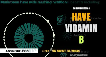 Mushrooms: Are They a Source of Vitamin B?