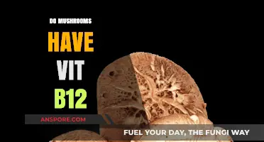 Mushrooms and B12: A Nutritional Mystery