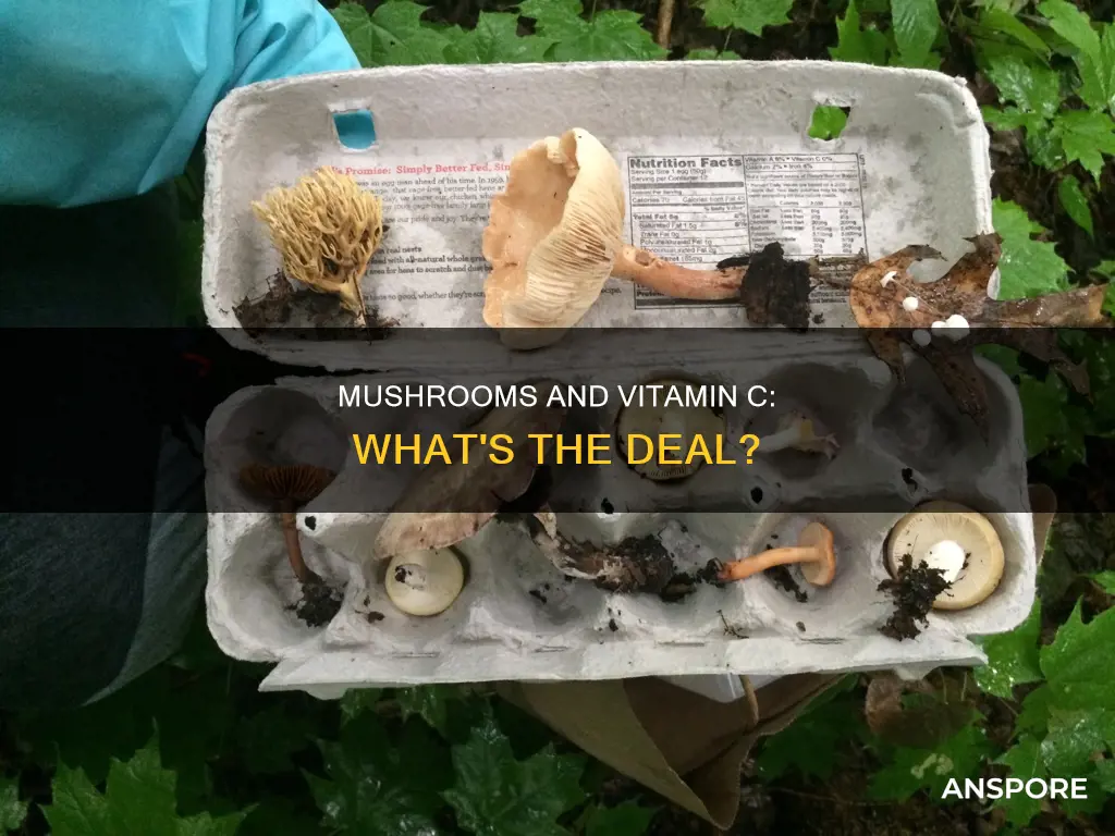 do mushrooms have vit c