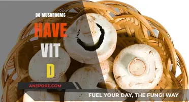 Mushrooms: Nature's Source of Vitamin D