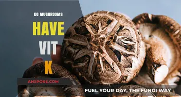 Mushrooms: A Rich Source of Vitamin K