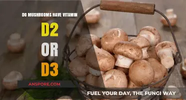 Mushrooms: Vitamin D2 vs. D3 – Which One Do They Contain?