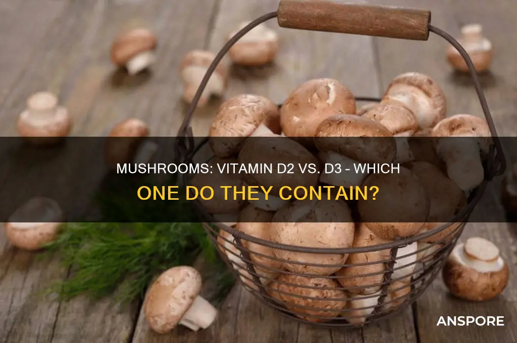 do mushrooms have vitamin d2 or d3