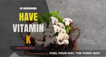 Mushrooms: A Rich Source of Vitamin K?