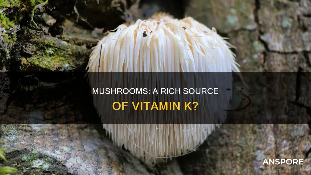 do mushrooms have vitamin k