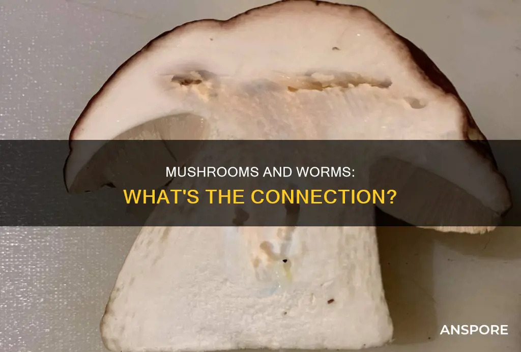 do mushrooms have worms